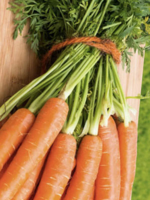 Удобрения для моркови
