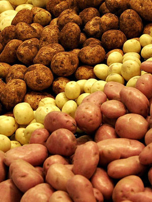 Удобрения для выращивания картошки